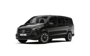 Miniatura del coche