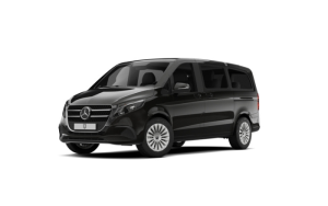 Miniatura del coche